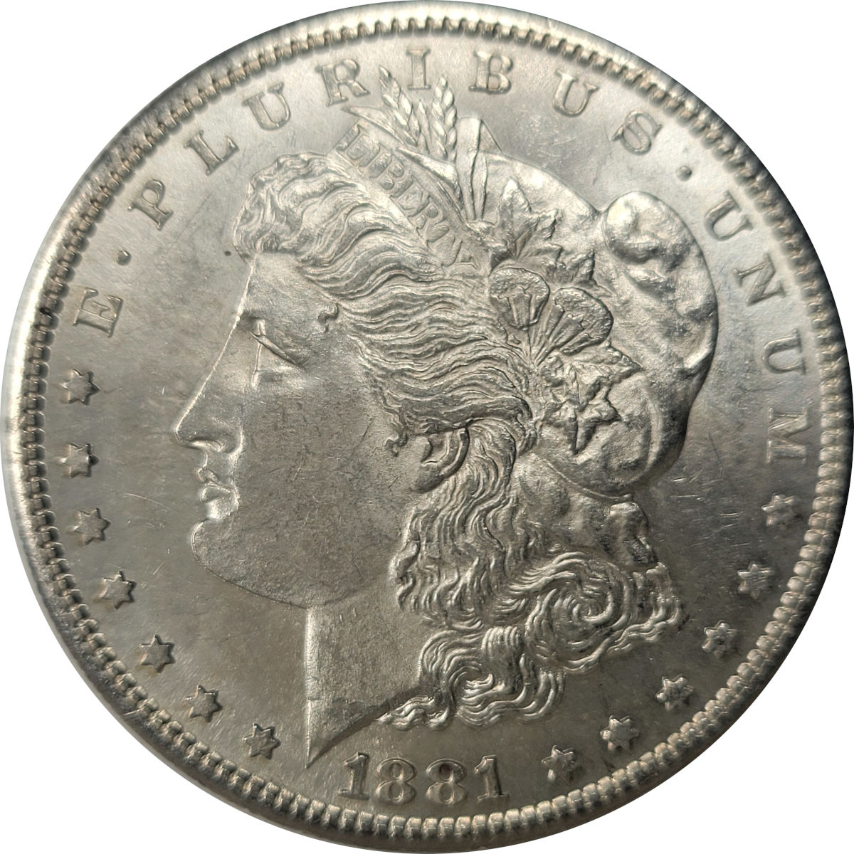 1881-S-$1-Morgan-Dollar-#8